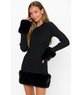 Show Me Your Mumu Drescher Mini Dress