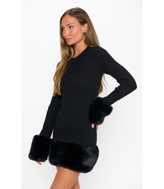 Show Me Your Mumu Drescher Mini Dress