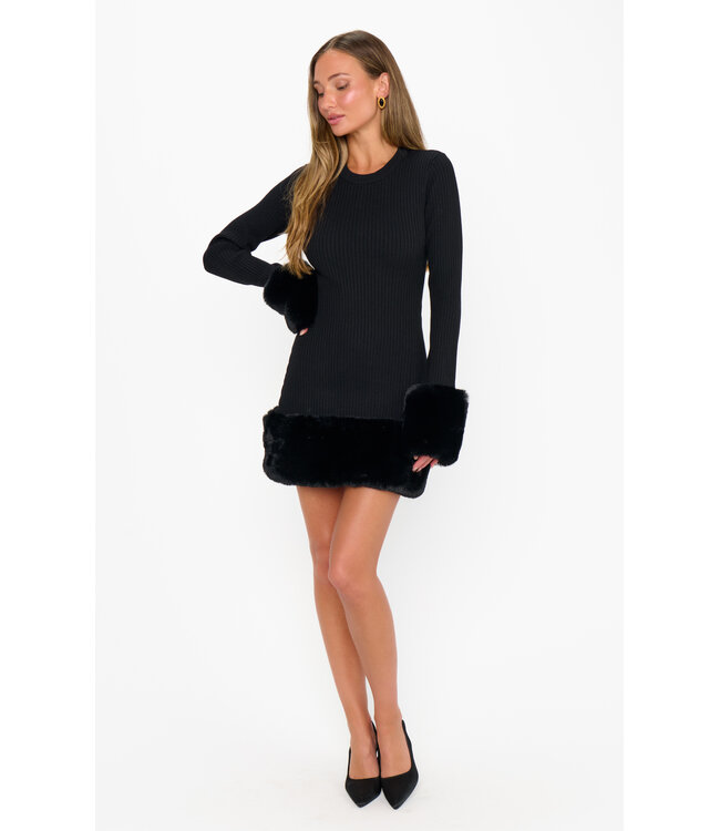 Show Me Your Mumu Drescher Mini Dress