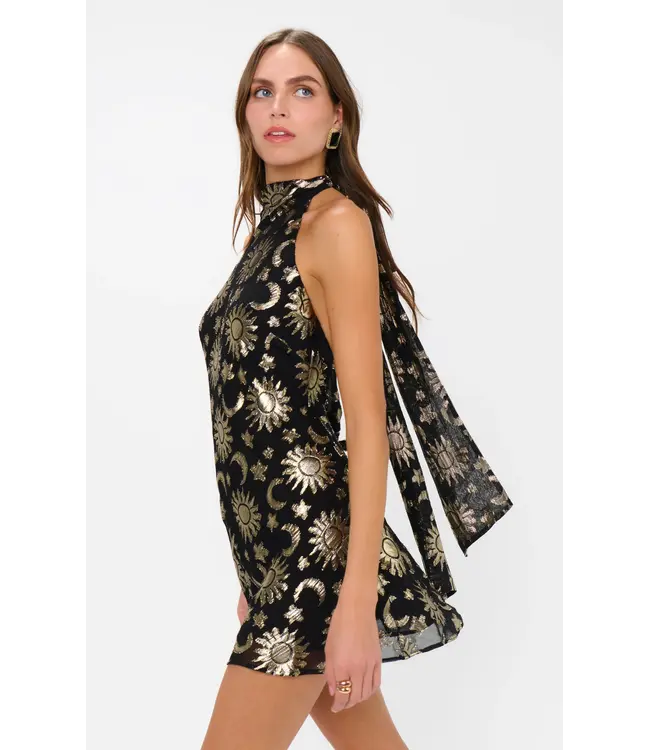 Show Me Your Mumu Lisa Mini Dress