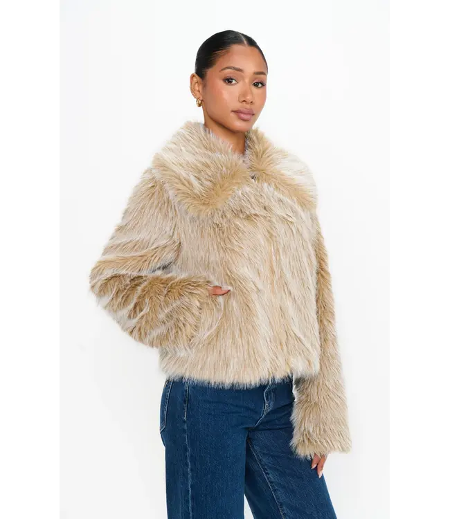 Show Me Your Mumu Park City Jacket