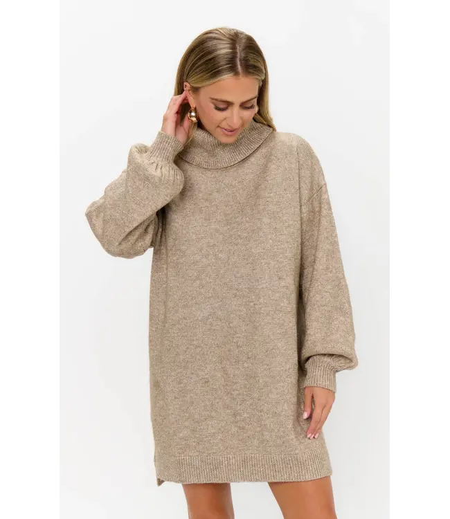 Show Me Your Mumu Chester Sweater Dress