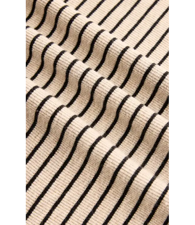 Z Supply Evie Stripe Henley L/S Tee