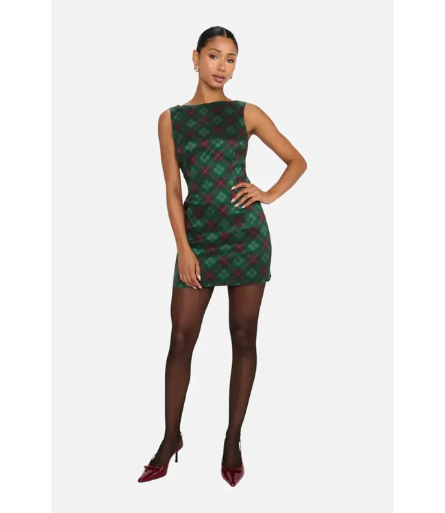 Show Me Your Mumu Tori Mini Dress