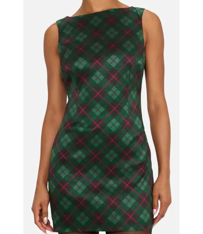 Show Me Your Mumu Tori Mini Dress