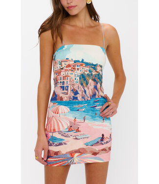 Show Me Your Mumu PTO Mini Dress