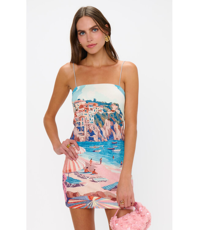 Show Me Your Mumu PTO Mini Dress