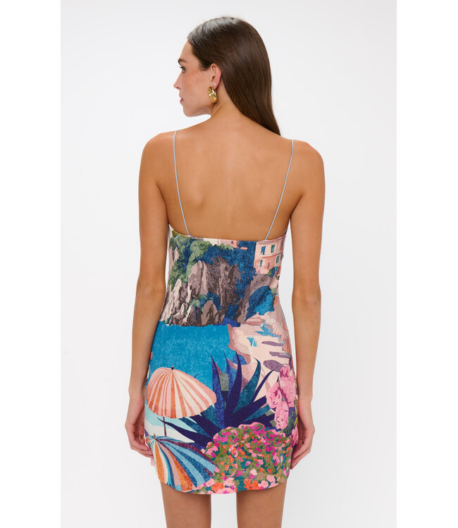 Show Me Your Mumu PTO Mini Dress