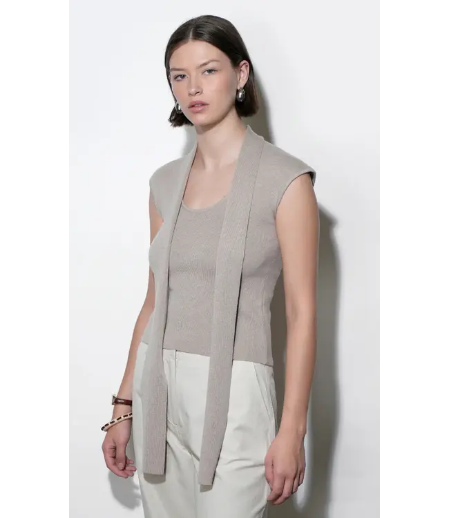 Greylin Hannah Scarf Knit Top