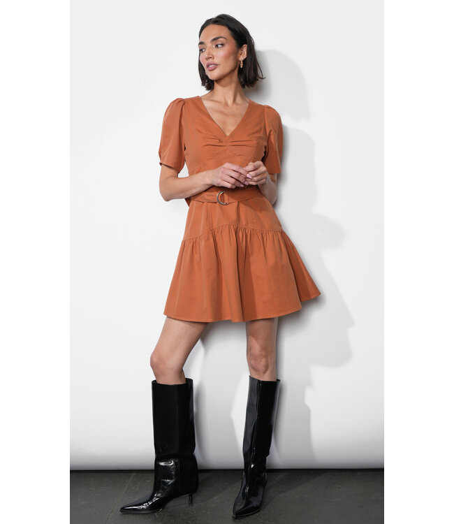 Greylin Hayden Belted Flare Dress