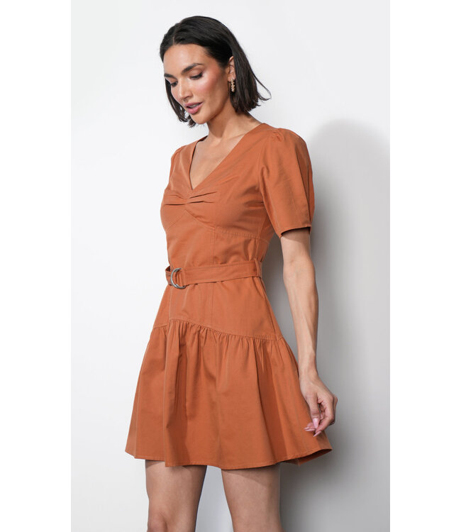 Greylin Hayden Belted Flare Dress