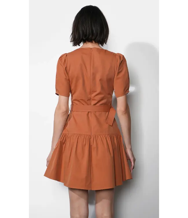 Greylin Hayden Belted Flare Dress