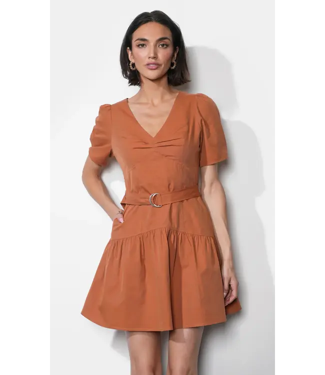 Greylin Hayden Belted Flare Dress
