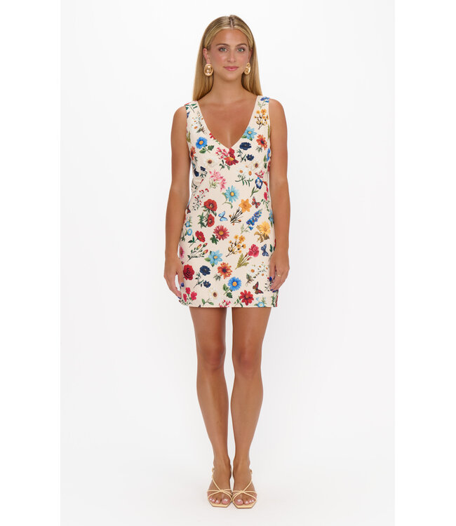 Show Me Your Mumu Emily Mini Dress