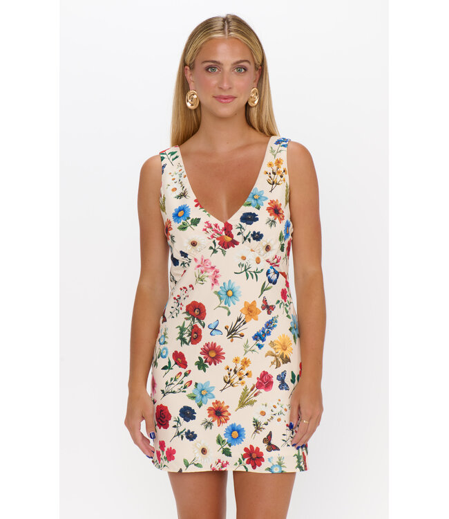 Show Me Your Mumu Emily Mini Dress