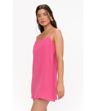 Show Me Your Mumu Fallon Mini Dress