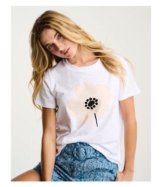 Lisa Todd Posy Posse