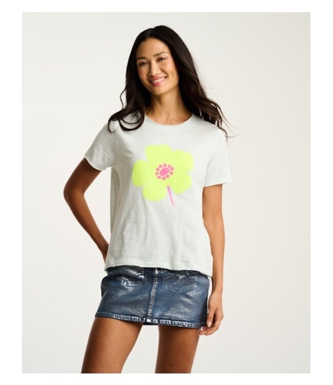 Lisa Todd Posy Posse