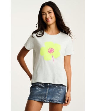 Lisa Todd Posy Posse