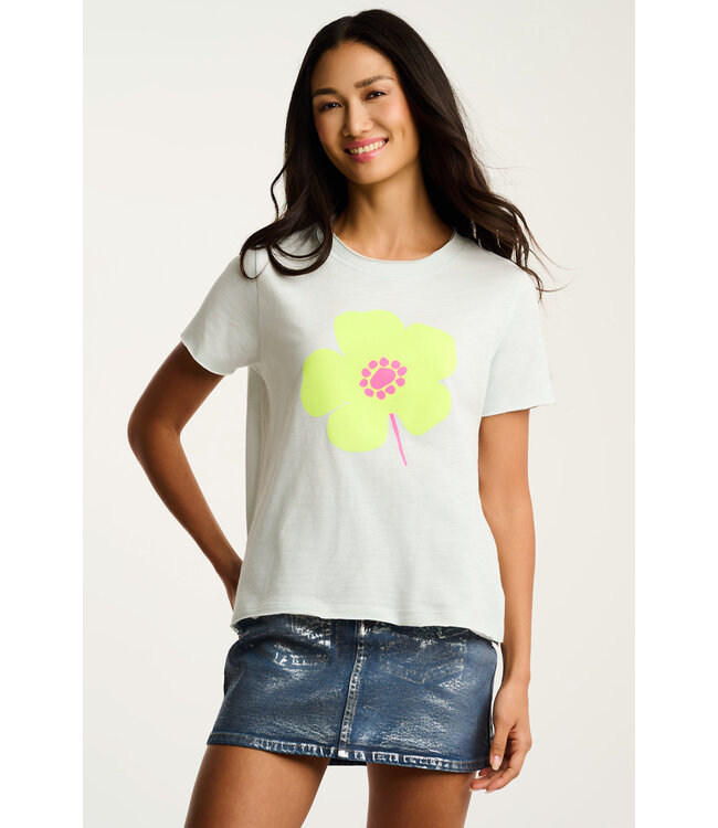 Lisa Todd Posy Posse