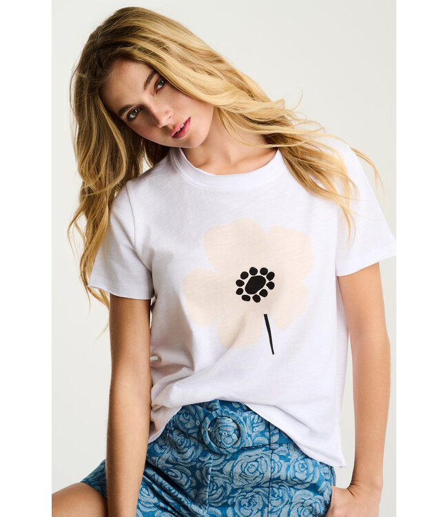 Lisa Todd Posy Posse