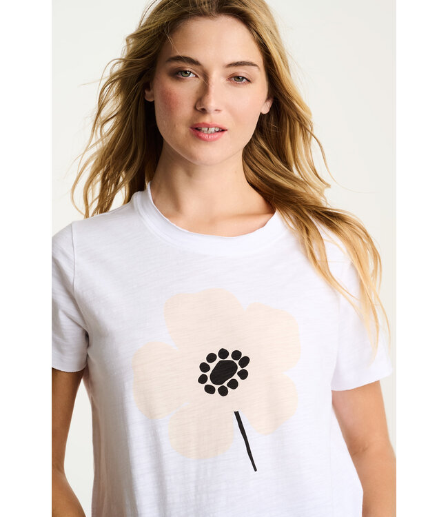 Lisa Todd Posy Posse