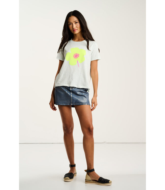 Lisa Todd Posy Posse