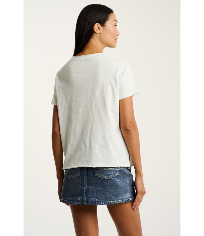 Lisa Todd Posy Posse