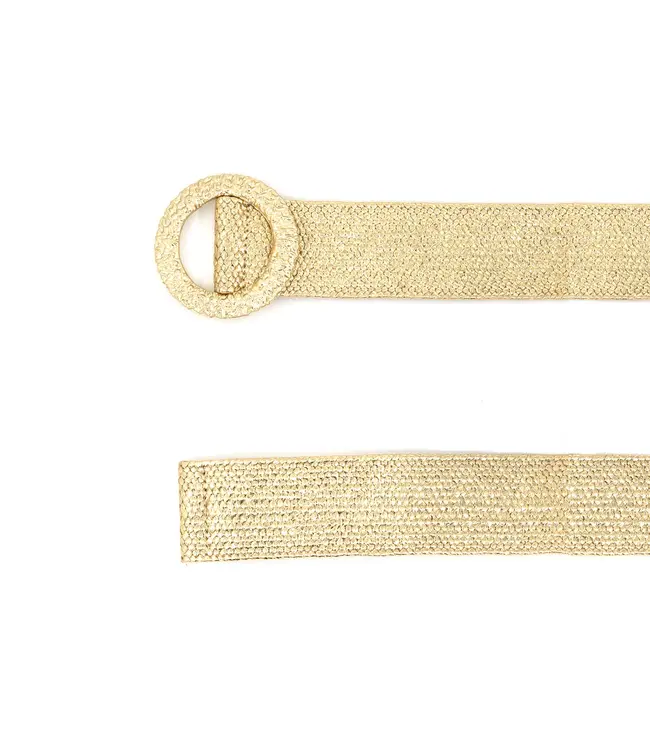 Metallic Woven Belt