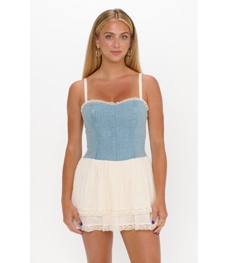 Show Me Your Mumu Geneva Mini Dress