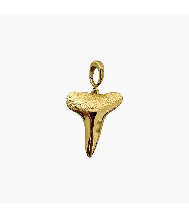 Clover + Palm Shark Tooth Charm - Medium