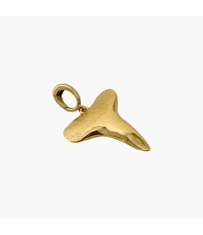 Clover + Palm Shark Tooth Charm - Medium