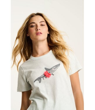 Lisa Todd Jaw-Dropping