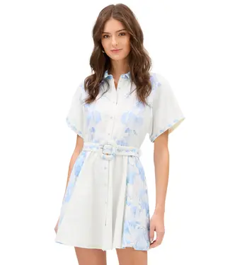 Allison Finley Dress