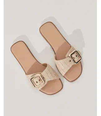 Vasili Slide