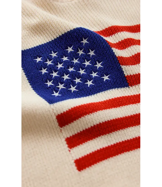 Z Supply Sleeveless Patriot Sweater