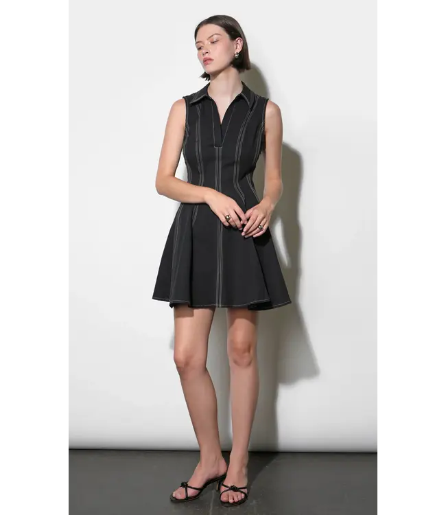 Greylin Sydney Mini Dress