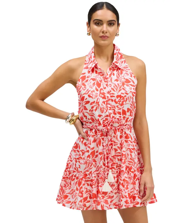 Allison Zoey Dress