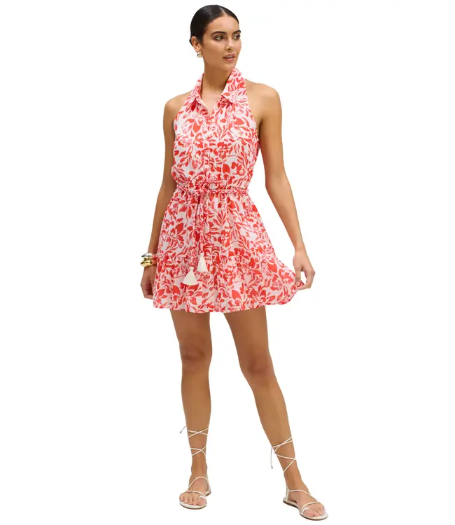 Allison Zoey Dress