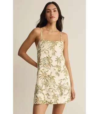 Z Supply Maude Tiki Tide Mini Dress