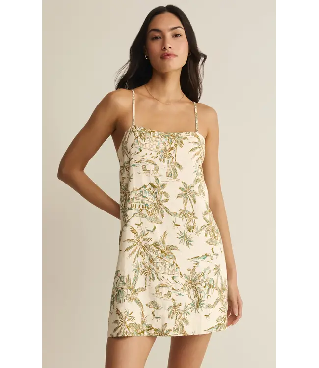 Z Supply Maude Tiki Tide Mini Dress