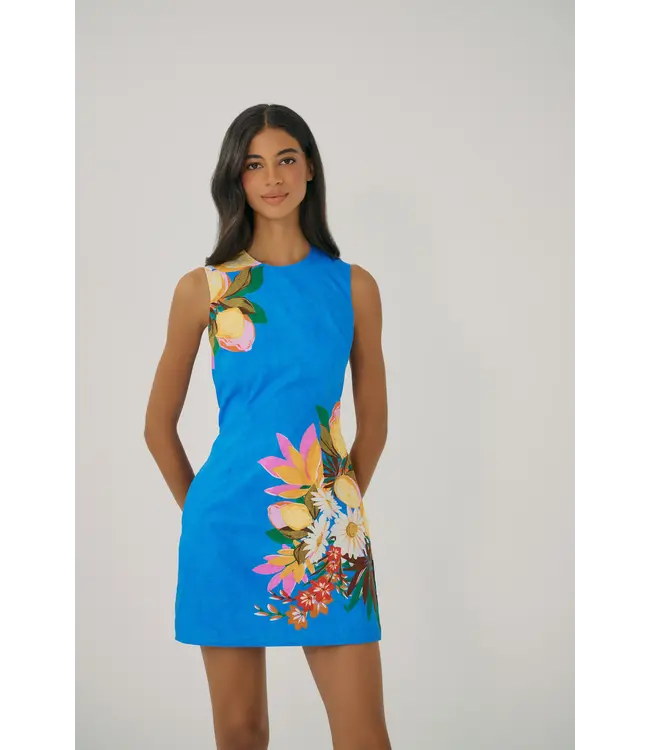 Hutch Janesta Dress