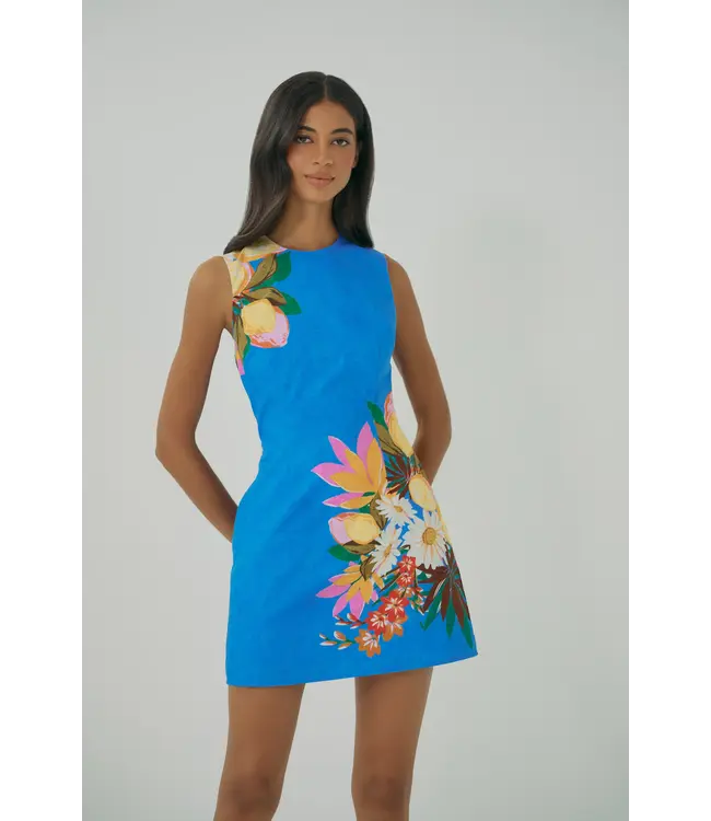 Hutch Janesta Dress