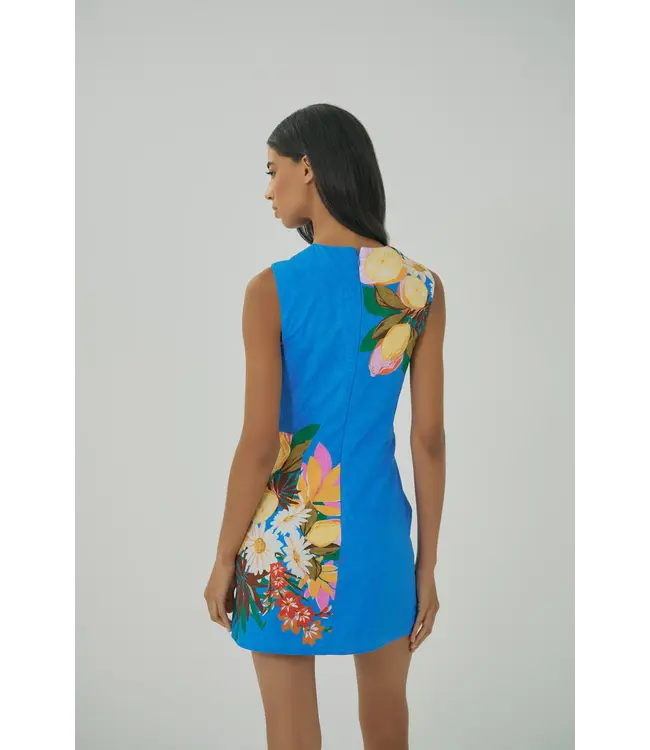 Hutch Janesta Dress