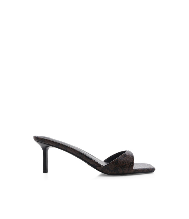 Haddison Heel