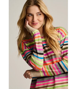 Lisa Todd Hype the Stripe