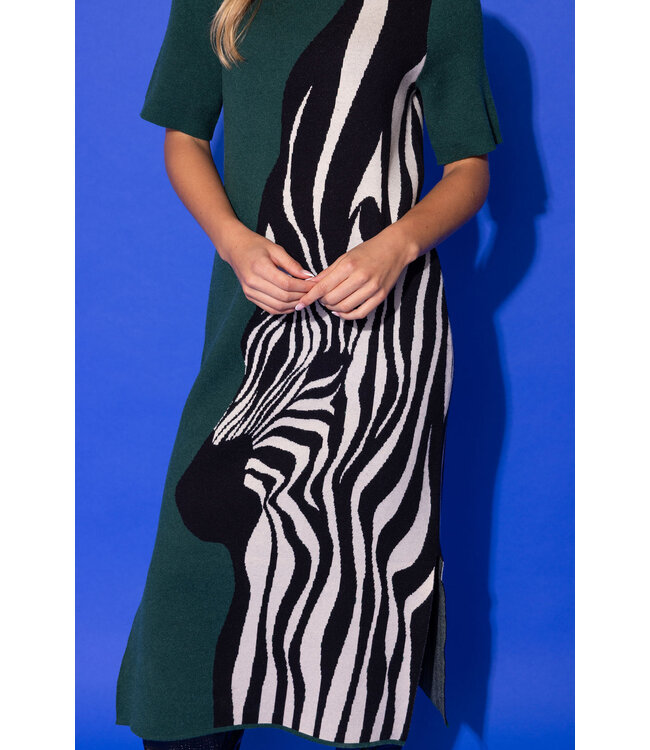 Alden Adair Scout Dress