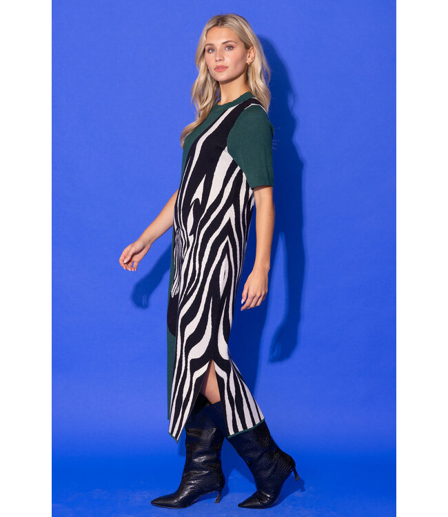 Alden Adair Scout Dress