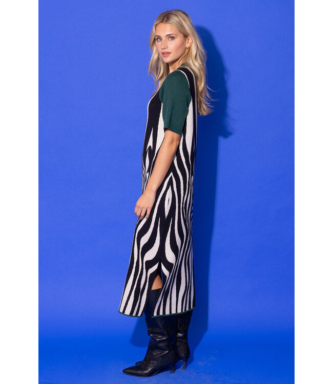 Alden Adair Scout Dress