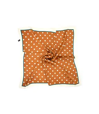 Dashing Darts Scarf